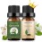 Sedbuwza Gardenia Jasmine Essential Oil Set, Gardenia Fragrance Oil Jasmine Scent Oil Set for Diffuser, Aromatherapy, Massage, Soap, Candle Making 2 x 10 ml