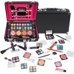 SHANY Carry All Make up Train Case with Pro Makeup Set, Beauty Brushes, Lipsticks, Eye Shadows, Blushes, Powders, and more - Reusable Cosmetics Storage Organizer - Premium Gift Packaging - Pink