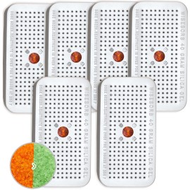 Wisesorb Silica Gel Canister, 40 Gram Silica Gel Desiccant Canister (Orange to Green), Reusable Desiccant Dehumidifier, Pack of 6