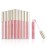 Beauty Concepts Lip Gloss Collection - Shimmering, Glossy Lip Makeup Set for a Radiant Finish, Pink Colors Collection