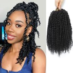 Passion Twist Crochet Hair,10 Inch 9 Packs Pretwisted Passion Twist Hair, Soft Pre Looped Crochet Hair For Women, Short Black Curly Crochet Twists Braids(10,1B)