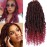 Passion Twist Crochet Hair,10 Inch 9 Packs Ombre Red Pretwisted Passion Twist Hair, Soft Pre Looped Crochet Hair For WomenShort Curly Crochet Twists Braids(10,Tburgundy)