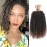 Passion Twist Crochet Hair,10 Inch 9 Packs Ombre Pretwisted Passion Twist Hair, Soft Pre Looped Crochet Hair For Women, Short Curly Crochet Twists Braids(10,T30)