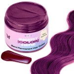 INH Semi Permanent Hair Color | Color Depositing Conditioner | Garnet Violet Hair Dye | No Bleach & No Peroxide Temporary Tint for Women & Men | Vegan, Ammonia Free, & Sulfate Free | Ready to Use, 6oz