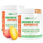 GOBIOTIX Greens Powder - Superfood with Greens and Reds - Probiotic Supplement - Digestive Enzymes and Beet Root Powder - Organic Whole Foods Dietary Supplement (Mango, 2 Pack)