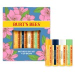 Burt\'s Bees Gifts Ideas - Balm Bouquet Lip Balm Set, Original Beeswax, Vanilla Bean, Cucumber Mint, Coconut & Pear Pack, Natural Origin Lip Treatment, 4 Tubes, 0.15 oz.