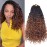 Beverlee Boho 8 Pack Goddess Box Braids 14 Inch Bohemian Crochet Hair with Curly Ends Pre-looped Synthetic for Black Women