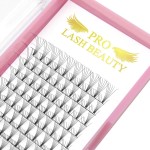 Premade Volume Eyelash Extensions 6D-C-0.07-11 Short Stem