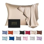 Mulberry Silk Pillowcase for Hair and Skin,Toddler Size Kids Silk Pillow Case with Hidden Zipper,Allergen Proof Dual Sides Soft Breathable Smooth Silk Pillow Cover(Toddler,Champagne)