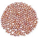 Novani Rhinestones 1440Pcs Flatback Crystal Round Loose Gemstones Glass Rhinestones for Crafts Makeup Nail Art Clothes Shoes DIY Decorations(SS16, 3.8-4.0mm,Amber)