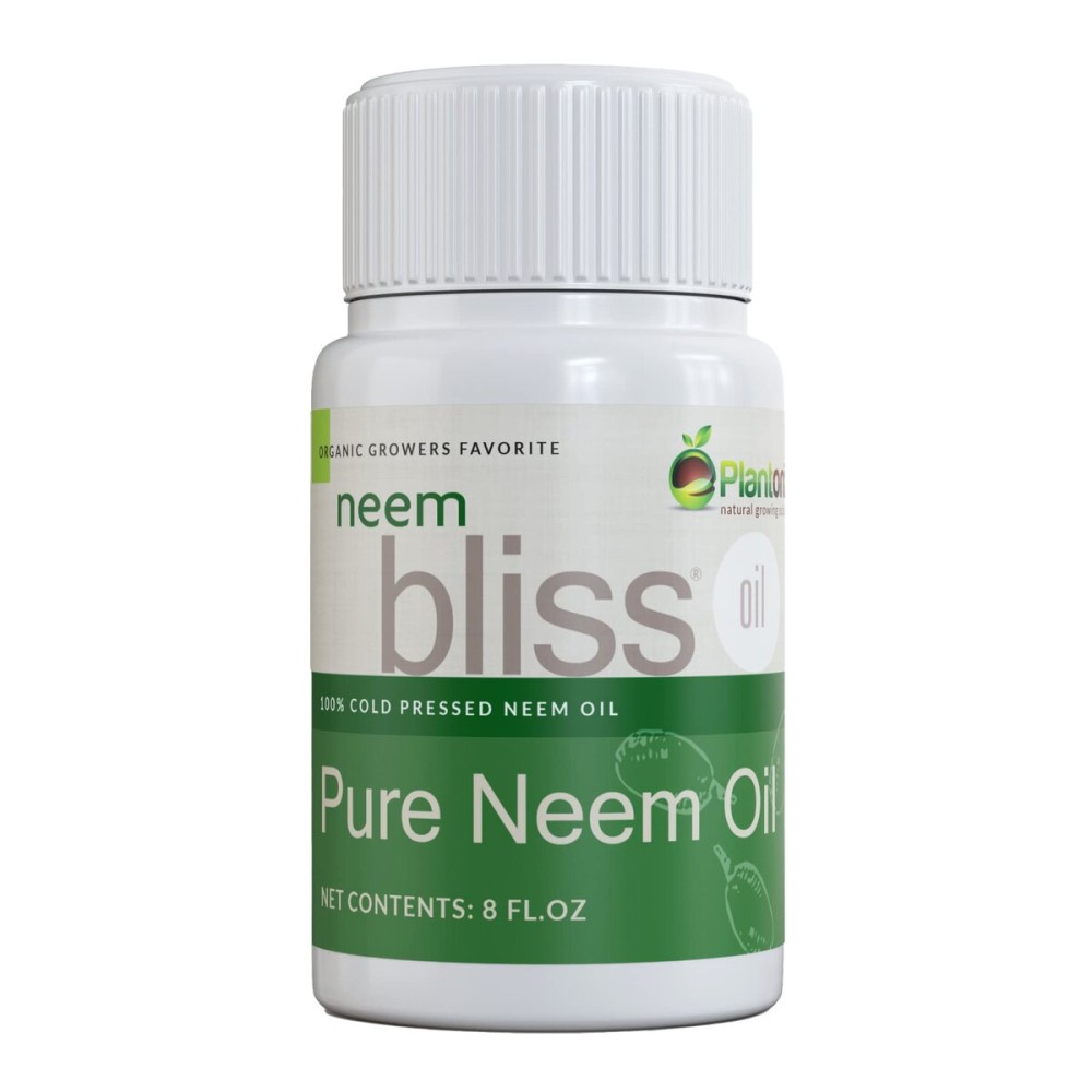 Neem Bliss (8 Fl Oz) - Pure Neem Oil Concentrate - 100% Cold Pressed Neem Oil - All-Natural Neem Oil Concentrate - Pure Neem Oil Extract - Unrefined Neem Oil for Hair - Neem Seed Oil Concentrate