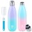 BOGI Insulated Water Bottle, 25oz 2 Pack Stainless Steel Water Bottles, Leak Proof Sports Metal Water Bottles Keep Drink Cold for 24 Hours and Hot for 12 Hours BPA Free kids water bottle for School