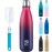 BOGI Insulated Water Bottle, 17oz Stainless Steel Water Bottles, Leak Proof Sports Metal Water Bottles Keep Cold for 24 Hours and Hot for 12 Hours BPA Free kids water bottle for School (DBlue Red)