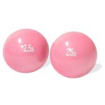 Trademark Innovations Weighted Exercise Toning Ball - Set of 2 (2.5lbs)