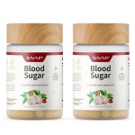 Snap Supplements Blood Sugar Blend, CoQ10, Cinnamon, Alpha Lipoic Acid and Gymnema, Sugar Free, 60 Capsules, 2 Pack