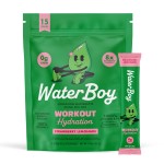 Waterboy Workout Hydration | 2,960mg Sugar Free Electrolyte Powder Packets | L-Glutamine + Vitamins | No Sugar, All Natural, Gluten Free | 15 Drink Stick Mixes (Strawberry Lemonade)