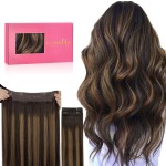 WENNALIFE Wire Hair Extensions (Increase 50% Lifespan) Real Human Hair 12 inch 100g Balayage Dark Brown to Chestnut Brown Remy Real Hair Extensions Invisible Wire Human Hair Fish Line