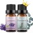 Sedbuwza Lavender Eucalyptus Essential Oil Set, Lavender Fragrance Oil Eucalyptus Scent Oil Set for Diffuser, Aromatherapy, Massage, Soap, Candle Making 2 x 10 ml