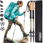 Foxelli Carbon Fiber Trekking Poles - Lightweight Collapsible Hiking Poles with Cork Grips, Lever Locks & All Terrain Accessories