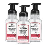 J.R. Watkins Foaming Hand Soap with Pump Dispenser, Moisturizing Foam Hand Wash, Alcohol-Free, Cruelty-Free, Peppermint, 9 fl oz, 3 Pack