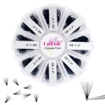 Lash Extension 20D 1000 Mixed Premade Fans Eyelash Extensions D Curl Promades Eyelash Volume Lash Extensions Loose Fans Pre Made Volume Lashes Pointed Base (20D-0.07D, 9-16mm)