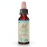 Bach Original Flower Remedies, Rock Water (Non-Alcohol Formula) - Flexible Mind - Natural Homeopathic Flower Essence for Emotional Balance - Vegan, Gluten Free, Sugar Free - 10mL Dropper