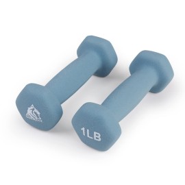 LIONSCOOL Neoprene Coated Dumbbell Weights (Sea 1lb Pair)
