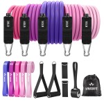 WHATAFIT Resistance Bands, Exercise BandsResistance Bands for Working Out, Work Out Bands with Handles for Men and Women Fitness, Strength Training Home Gym Equipment Pink Purple 16PCS