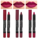 evpct 3Pcs Plum Purple Wine Red Matte Lip Sticks Crayon Lip Liner Lipstick Pencil Set for Women Long Lasting 24 Hour Waterproof Lip Liner and Lipstick Set labiales mate 24 horas originales 02&12&14