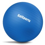 GalSports Anti-Burst Slip Resistant Stability Ball - Swiss Ball for Home Gym & Physical Therapy