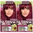 Garnier Hair Color Nutrisse Ultra Color Nourishing Creme, RP1 Dark Intense Pink Red (Cherry Flamingo) Permanent Hair Dye, 2 Count (Packaging May Vary)