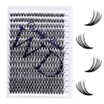 Individual Lashes DIY Eyelash Clusters 300PCS C/D Curl Lash Clusters Comfortable Cat Eye Lashes Super Soft Reusable Wispy Lashes Lash Clusters(300PCS-40D-0.07DD,8-16mm Mixed Tray)
