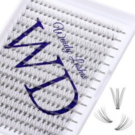 Individual Lashes DIY Eyelash Extension 300PCS Lashes Extensions C/D/CC/DD Curl Lash Clusters Cat Eye Lashes Super Soft Eyelashes Extension Matt Black Lashes Beginner Lash Clusters(300PCS-10D-0.07D,8-16mm Mixed Tray)