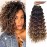 GoGo Curl Crochet Hair for Women Water Wave Curly Crochet Hair Wavy Human Hair Deep Wave Beach Curl Crochet Synthetic Hair Extensions (12 inch(Pack of 6), 1B/30/27)
