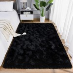 AROGAN Luxury Soft Shaggy Rug, 3x5 Feet Bedroom Indoor Plush Shag Area Rug for Living Room, Black Fluffy Shag for Kids Girls Playroom & Dorm Room Decor