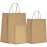 Qutuus Brown Paper Bags with Handles - Assorted Sizes, 120 Pcs - Large, Medium & Small Kraft Bags for Business, Shopping & Retail Use