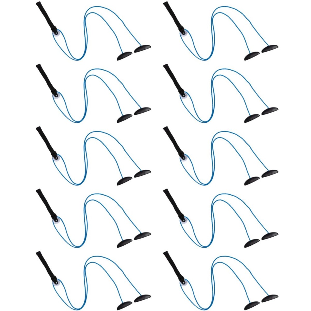 Shoulder Pulley Over The Door Physical Therapy System, Exercise Pulley for Physical Therapy, Alleviate Shoulder Pain and Facilitate Recovery from Surgery (10PCS-Blue), FSA or HSA Eligible