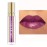 Maydear Chameleon Lipstick, Metallic Purple Multichrome Lip Gloss, Long Lasting Full-Coverage Rainbow Lip Makeup, Golden Plum (09)