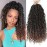 14 Inch 8 Packs Goddess Locs Crochet Hair Pre Looped Faux Locs Crochet Hair for Women Soft Boho Hippie Locs Hair Extension Synthetic (T30)