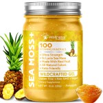 WELLNESS LABSRX Irish Sea Moss Gel Raw - Wildcrafted Superfood Seamoss Gel - Pineapple Flavor, Vitamin and Mineral-Rich from Pristine Caribbean Waters, Immune and Digestive Health Support - 10 oz.