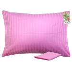 ZPECC Toddler Pillow with Pillowcase - 13x18 Organic Cotton Hypoallergenic Kids Pillow, Baby Essentials for Travel Crib Daycare Stroller (Intended for Age 2 and up) Pink Stripe