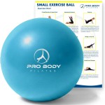 ProBody Pilates Ball 9 Inch - Small Exercise Ball for Stability, Barre, Core, Ab Workouts, Yoga, & Physical Therapy (Sky)