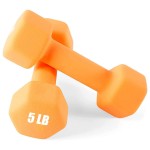 Portzon Weights Dumbbells 10 Colors Options Compatible with Set of 2 Neoprene Dumbbells Set,1-15 LB, Anti-Slip, Anti-roll, Hex Shape