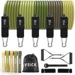 VEICK Resistance Bands, Exercise Bands, Workout Bands, Resistance Bands for Working Out with Handles for Men and Women, Exercising Bands for Fitness Weights Work Out at Home