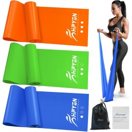 HPYGN Resistance Bands for Working Out, Exercise Bands for Stretching, Yoga, Pilates, Physical Therapy, Strength Training and Rehab Bands, Non Latex Workout Bands, 1.5m Elastic Bands for Beginner
