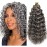 GoGo Curl Crochet Hair Water Wave Curly Crochet hair for Women Grey Synthetic Bohemian Crochet Braid Deep Wave Braiding Hair Extensions (12 inch(Pack of 6), Grey)