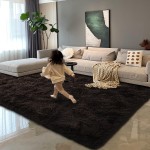 HOMORE Dark Brown Rugs for Bedroom, 4x6 Feet Fluffy Area Rug Modern Shag Rugs for Living Room, Super Soft Non Slip Rug for Kids Room, Cute Rugs for Children Nursery Dorm Home Decor