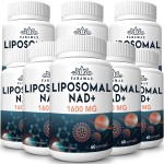 1600 mg Liposomal NAD Supplement, 98% Pure NAD+ Supplement, Superior Absorption, Alternative to Nicotinamide Riboside or NADH to Boost NAD+ for Aging Defense, Energy, Longevity, 480 Softgels
