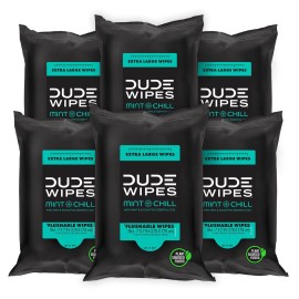 DUDE Wipes - Flushable Wipes Travel Pack - 6 Pack, 108 Count - Mint Chill Extra-Large - Vitamin-E, Aloe Vera, Eucalyptus, and Tea Tree Oils - Septic and Sewer