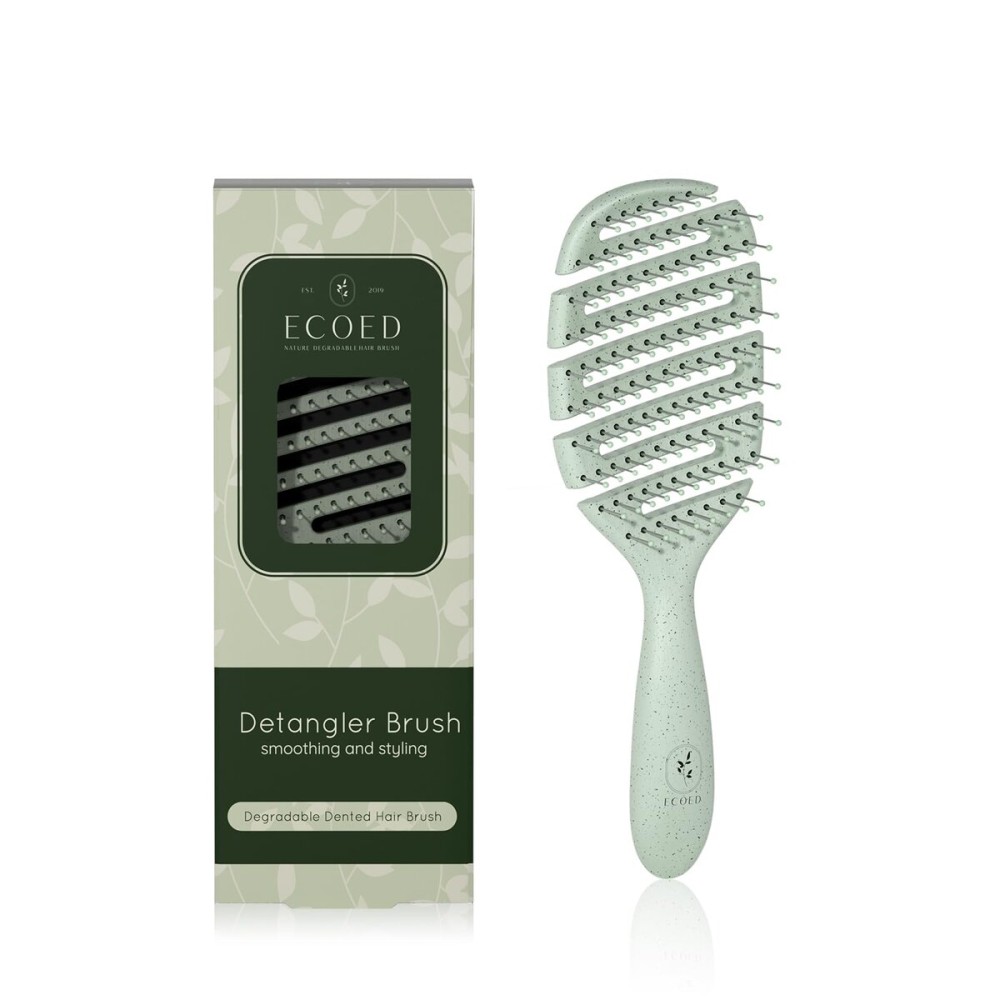 Ecoed Detangler Hairbrush, Soft Bristle Detangling Brush for Straight, Wavy, Curly and Fine Hair, Dry and Wet, Quick Smoothing for Women and Men, Eco-Friendly & Sustainable Material (Green)